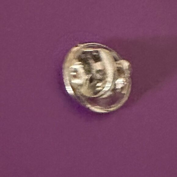 Coach Moonlight Pin - Elegance in
Every Detail - Picture 13 of 16